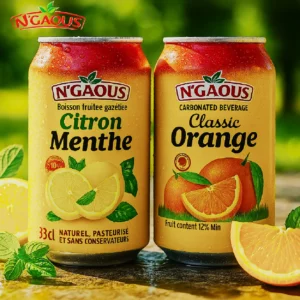 Gamme Canettes N'Gaous 33cl — Boissons Fruitées Gazéifiées