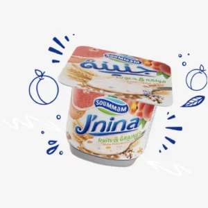 Yaourt Jnina  Fruits et Graines
