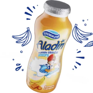 Yaourt Aladin